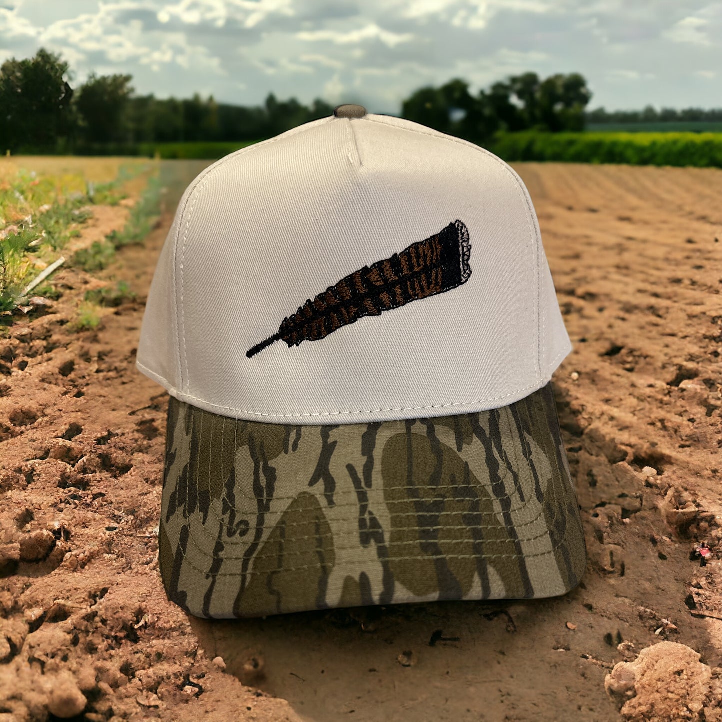 Turkey Feather