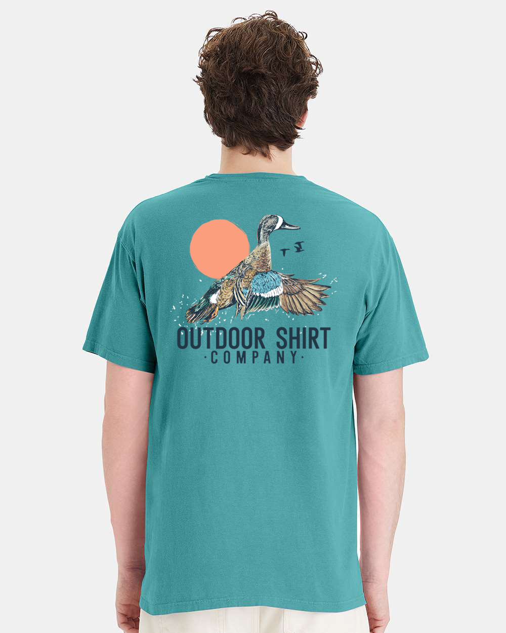 Flying Teal
